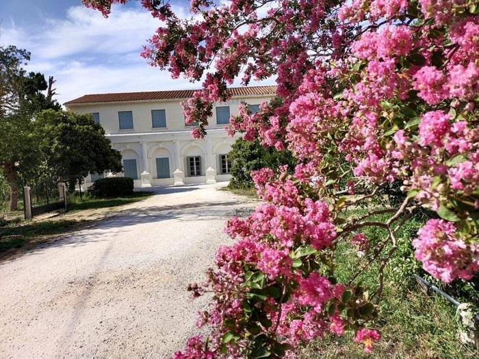Hotel Le Floreal Le Soler Bagian luar foto